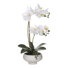 46cm Potted Faux Butterfly Orchid