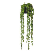 63cm Potted Faux Hanging Pearls Plant