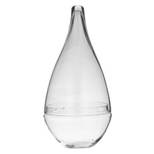 Cara Seraphina Tall Terrarium
