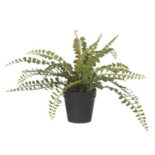 26cm Potted Faux Jewel Fern Plant