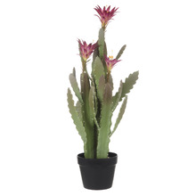 78.7cm Potted Faux Flowering Cactus Plant