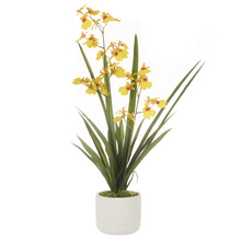 58cm Potted Faux Dancing Orchid Plant