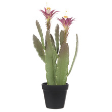 46.9cm Potted Faux Flowering Cactus Plant