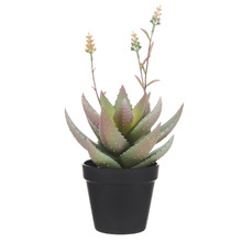 36.2cm Potted Faux Flowering Aloe Plant