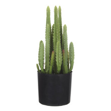 34.2cm Potted Faux Fairy Castle Cactus Plant