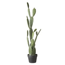 107cm Potted Faux Pear Cactus Plant