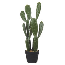64cm Potted Faux Pear Cactus Plant