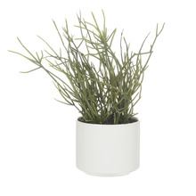 23cm Potted Faux Mistletoe Cactus Plant