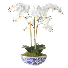66cm White Potted Faux Dancing Orchid Plant