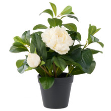 38cm Potted Faux Peony Lush Leaf