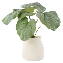 57cm Faux Hosta with Vase
