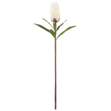 61cm White Faux Protea Stem