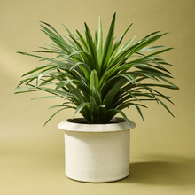 Sena Terracotta Plant Pot