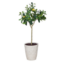 123cm Potted Faux Lemon Tree