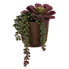 18cm Potted Faux Echeveria Succulent