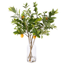72cm Faux Lemon Tree Branches with Glass Vase