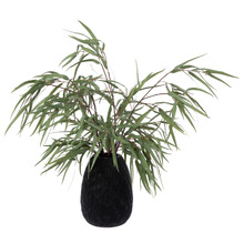 67cm Potted Faux Eucalyptus Nicholii Plant