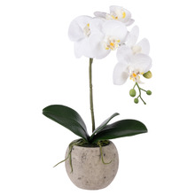 48cm Potted Faux Phalaenopsis Orchid