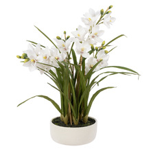 85cm Potted Faux Cymbidium Orchid