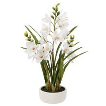 74cm Potted Faux Cymbidium Orchid