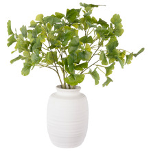 73cm Faux Ginkgo with Ceramic Vase