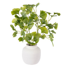 50cm Faux Gingko with Ceramic Vase