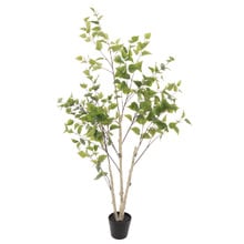 154cm Potted Faux Silver Birch Tree