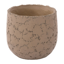 Roger Cement Plant Pot