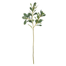 72cm Faux Pittosporum Spray