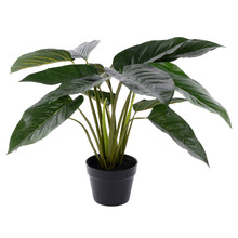 60cm Potted Faux Philodendron Plant