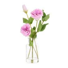 27cm Faux Lisianthus with Vase