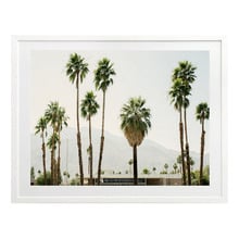 Desert Love Canvas Wall Art
