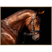 Hermes Horse Drop Shadow Framed Canvas Wall Art
