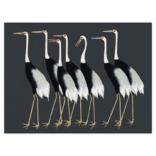 Gaggle Canvas Wall Art