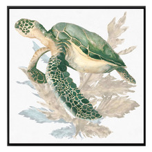 Turtle Love Wall Art