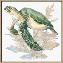 Turtle Love Wall Art