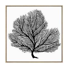 Prosper Canvas Wall Art