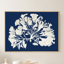 Coral Reef Canvas Wall Art