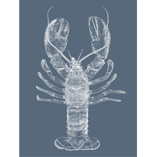 Be My Lobster Printed Wall Art