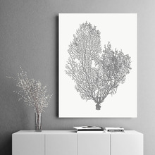 Natural Coral Printed Wall Art