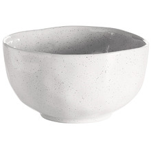 Speckle Noodle Bowl (Set of 12)