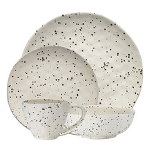 24 Piece Polka Ecology Speckle Stoneware Dinner Set