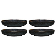 Raven Element 22cm Bowls (Set of 4)