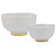 2 Piece Speckle Stoneware Noodle Bowl Set