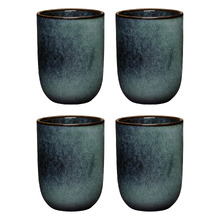 Raven Element 250ml Cuddle Mugs (Set of 4)