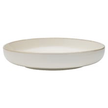 Element 22cm Stoneware Dinner Bowls (Set of 12)