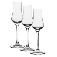 4 Piece Classic 80ml Grappa Glass Set (Set of 3)