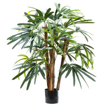 100cm Rhapis Palm Tree