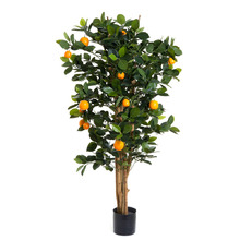 Golden Orange Tree