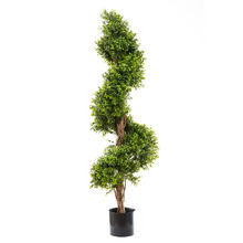 140cm Potted Boxwood Spiral Tree